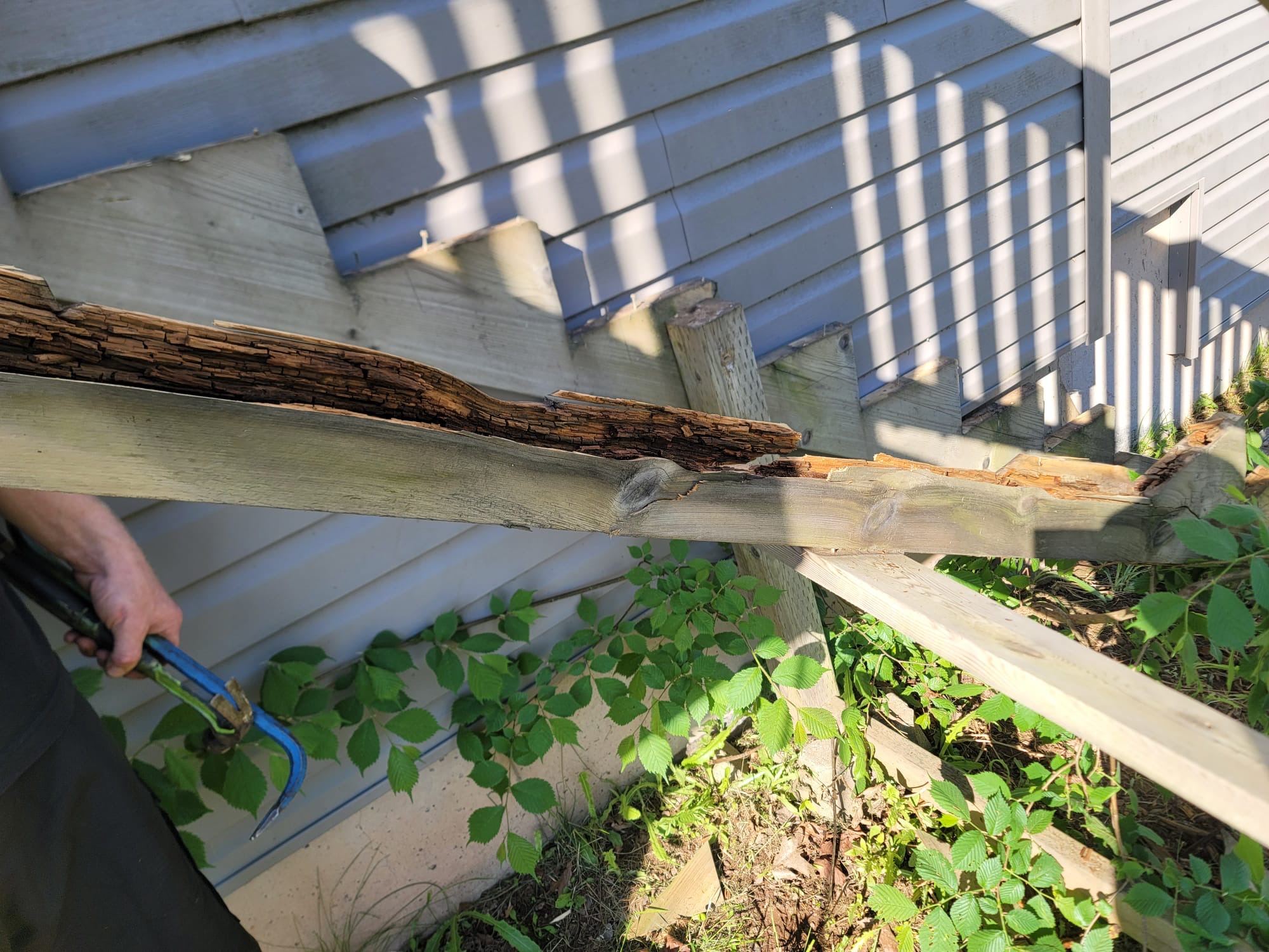 Rotted stair stringer removed & replaced — Kitchener