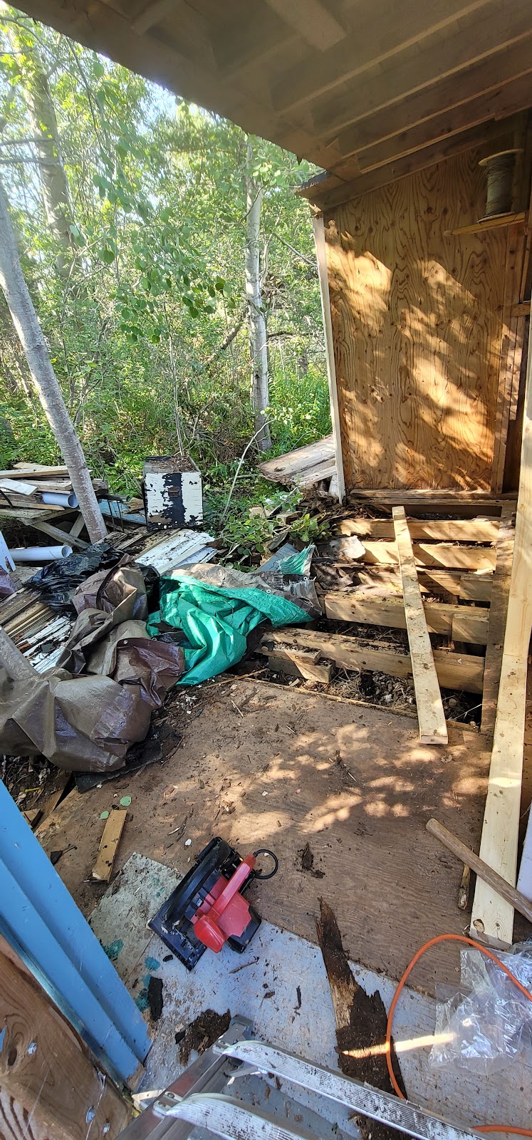 Rotted porch floor tear-out & rebuild — Waterloo